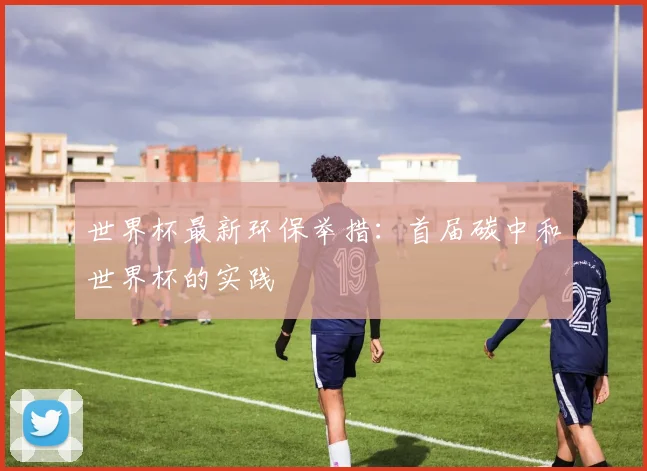 世界杯最新环保举措：首届碳中和世界杯的实践